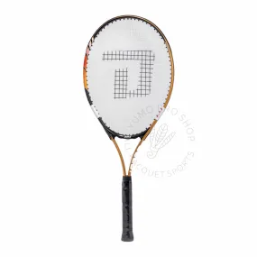 DHS 282 Tennis Racket & Training ball