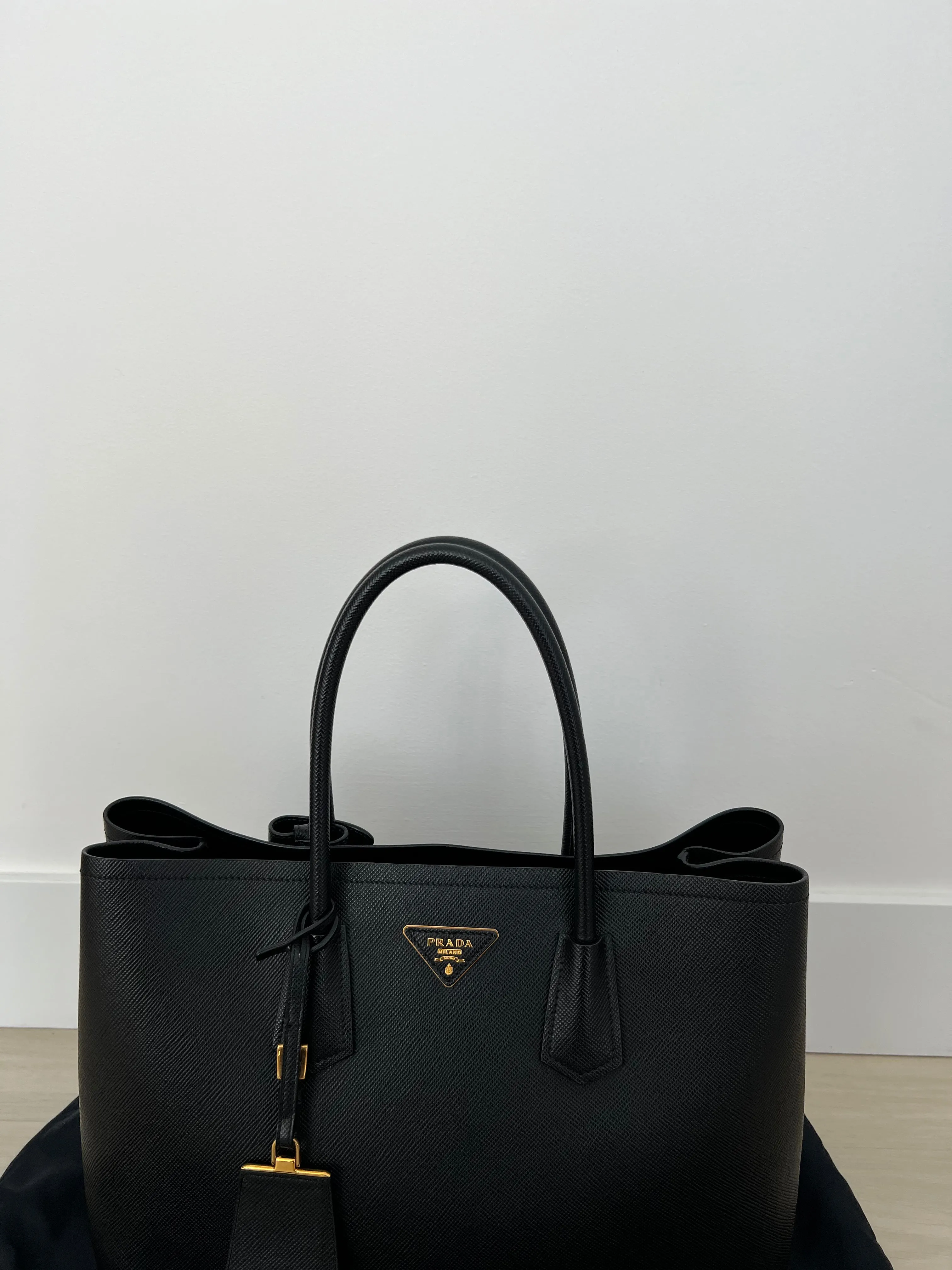 Prada Double Bag